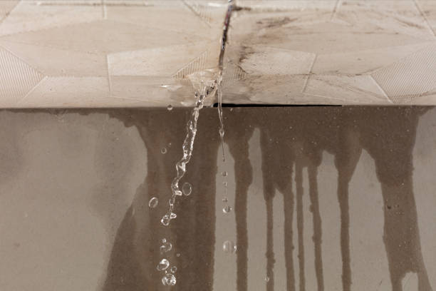 Professional Water Damage Restoration technician working in Stanton, MO